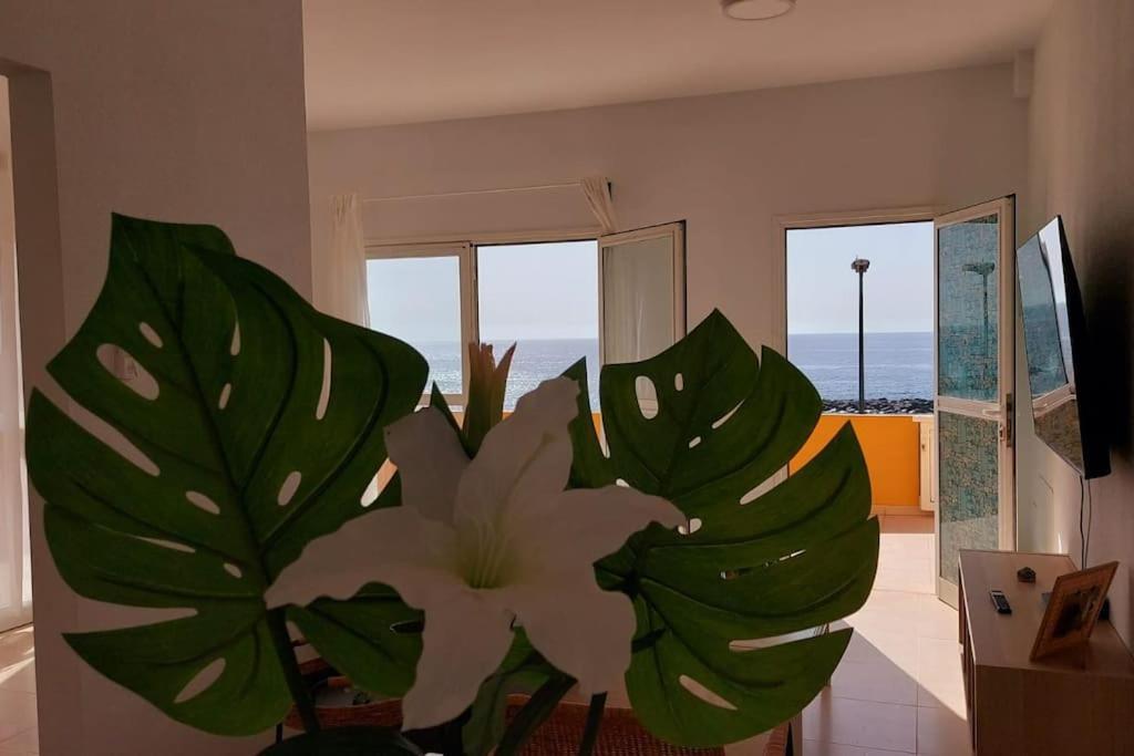La Marea Baja Apartment Puertito de Guimar Ngoại thất bức ảnh